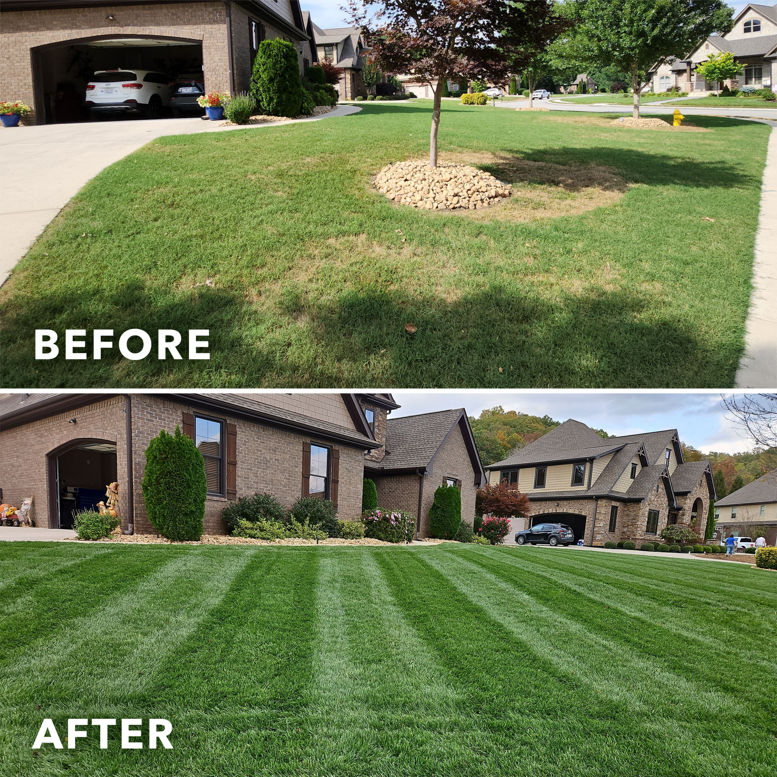 GG-BeforeAndAfter-Carousel-Lawn